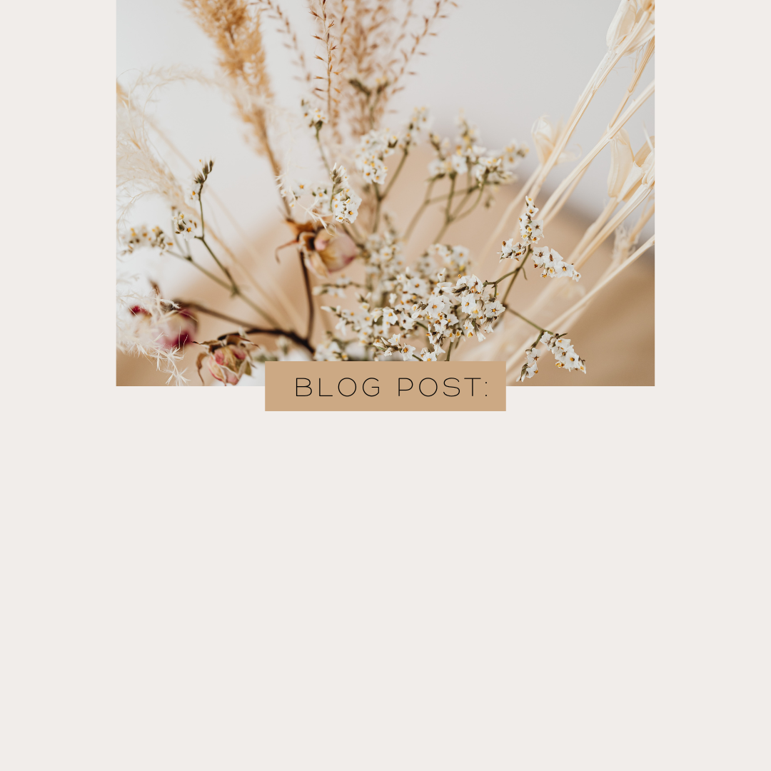 Beige Aesthetic New Blog Post Announcement Instagram Post(1)